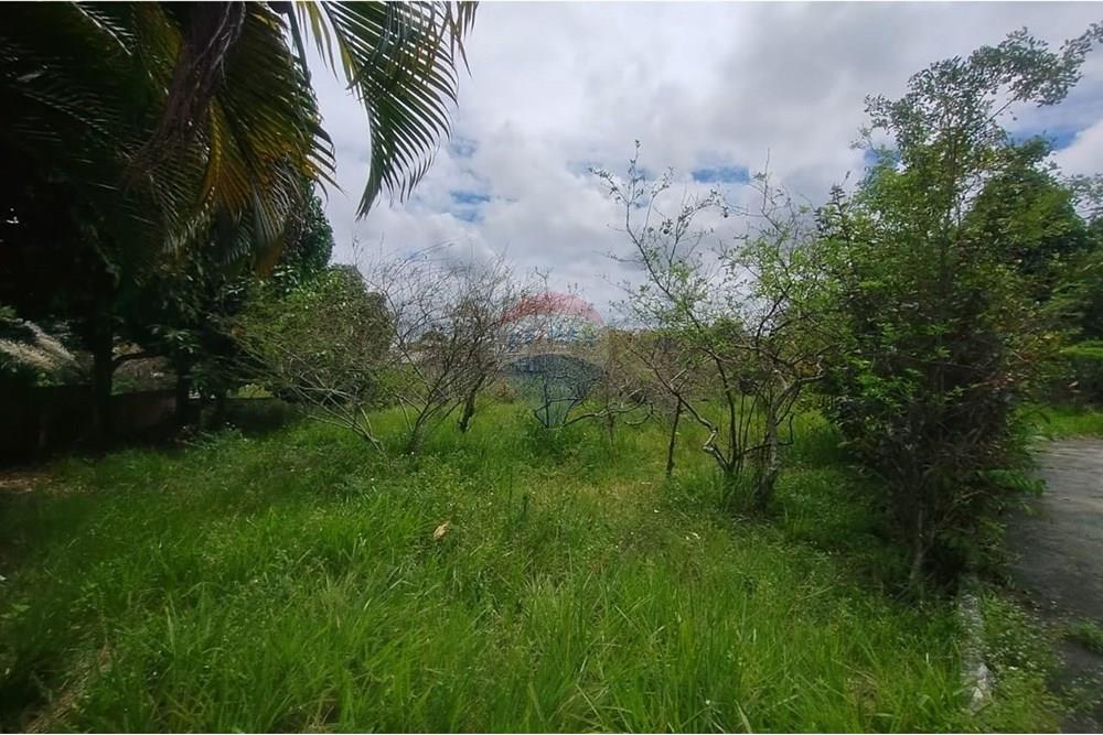 Terreno - Venda - Camaçari , Bahia - WhatsApp Image 2025-10-28 at 14.54.23 (2).jpeg - 580561053-77