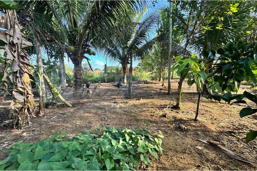 Chácara à venda com 2 quartos, 91m² - Foto 19