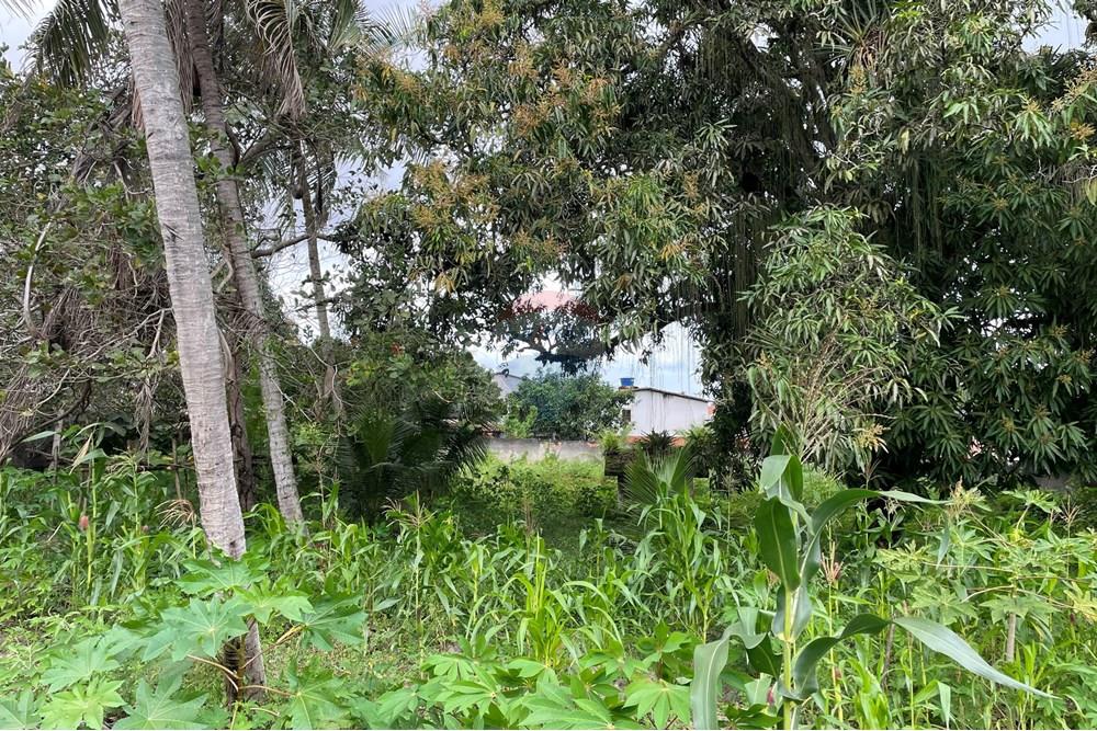 Terreno - Venda - Alagoinhas , Bahia - IMG_8942.jpeg - 580701044-52