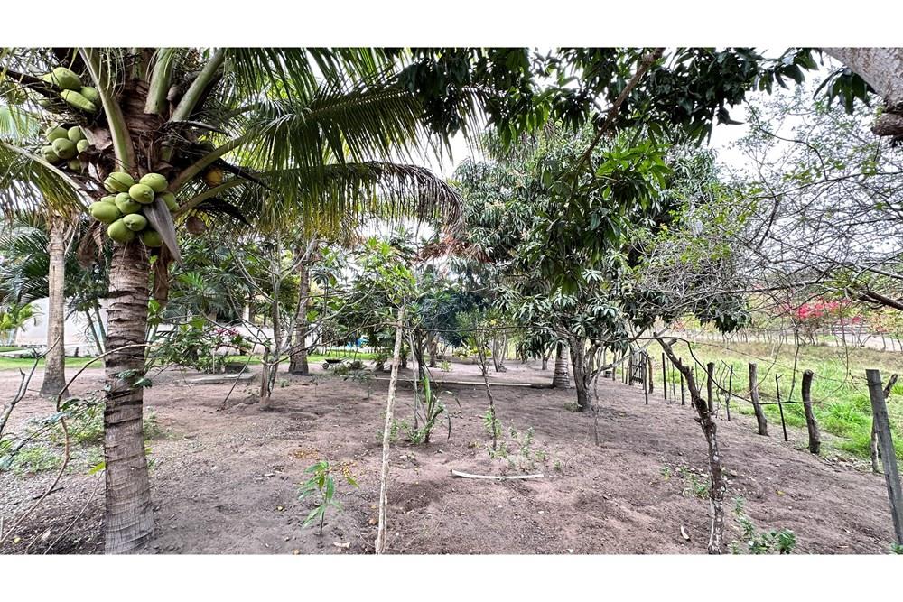 Chácara / Sítio / Fazenda - Venda - Jequié , Bahia - image00014.jpeg - 580731023-51