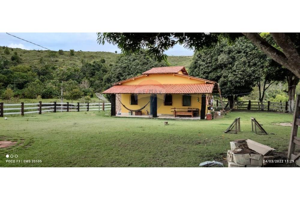 Chácara / Sítio / Fazenda - Venda - Itamaraju , Bahia - WhatsApp Image 2025-02-23 at 10.01.58 (2).jpeg - 580751001-262