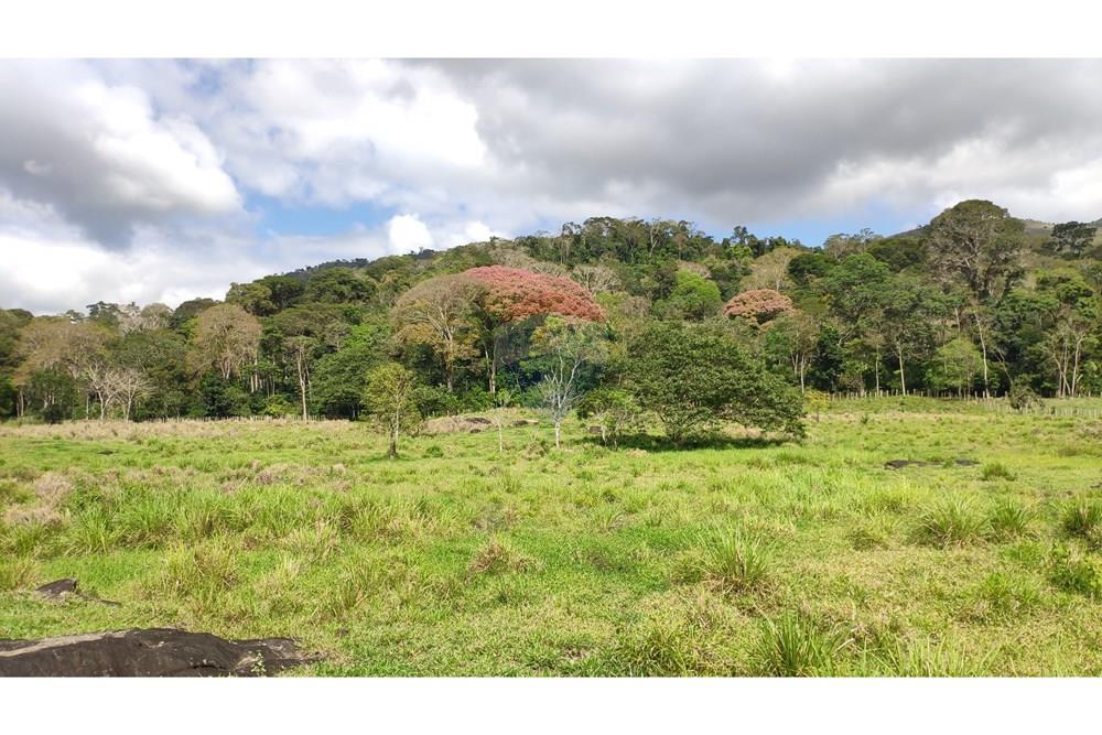 Chácara / Sítio / Fazenda - Venda - Jequié , Bahia - 45.jpg - 580731023-74