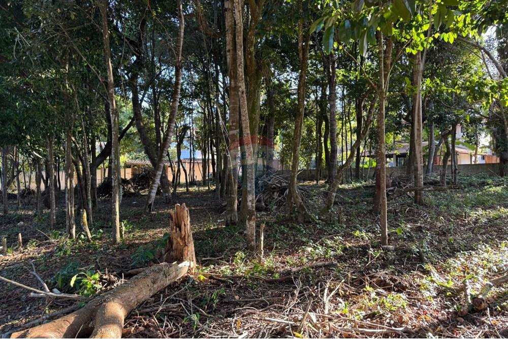 Terreno - Venda - Porto Seguro , Bahia - b660b9df-7deb-4e94-b25d-6654b48378f9.jpg - 580581002-126