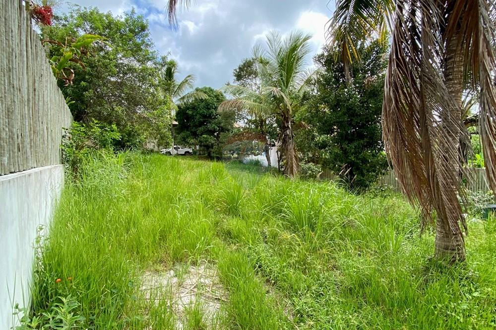 Terreno - Venda - Trancoso , Bahia - WhatsApp Image 2026-01-14 at 10.24.00 (1).jpeg - 580581012-110