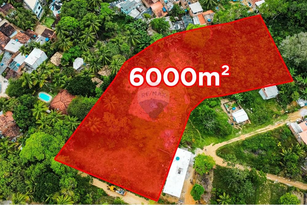 Terreno - Venda - Cairu , Bahia - IMG_2660.jpg - 580341015-105