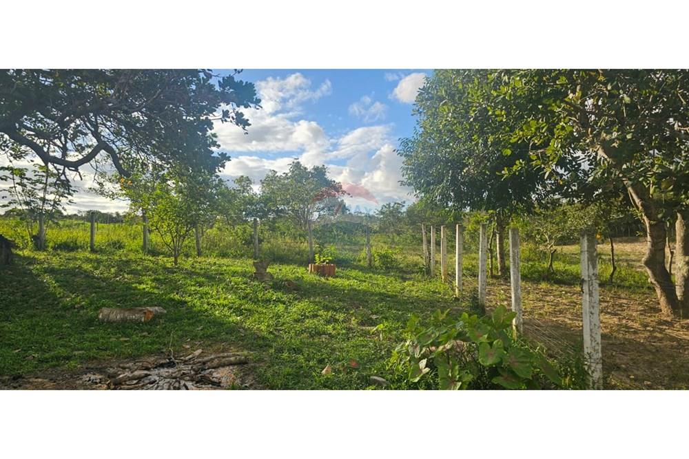 Chácara / Sítio / Fazenda - Alugar - Alagoinhas , Bahia - WhatsApp Image 2025-11-12 at 08.47.13 (2).jpeg - 580701044-78