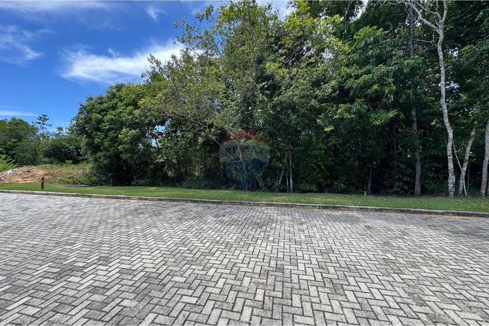 Terreno - Venda - Porto Seguro , Bahia - 709ea10a-e93d-4dd5-b90f-7d184c835bb4.jpeg - 580581002-140