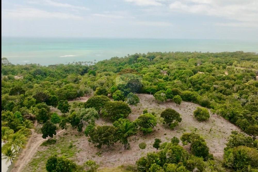 Terreno - Venda - Trancoso , Bahia - WhatsApp Image 2026-01-14 at 08.41.58 (8).jpeg - 580581012-109