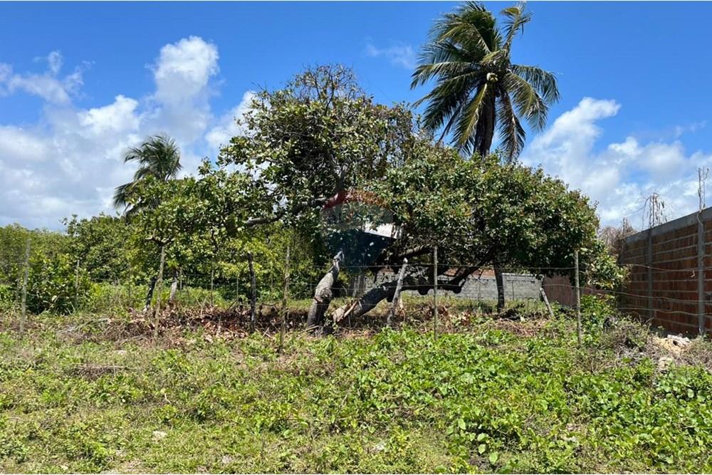 Terreno - Venda - Entre Rios , Bahia - Imagem do WhatsApp de 2025-11-07 à(s) 17.10.55_42f3091d.jpg - 580701006-54