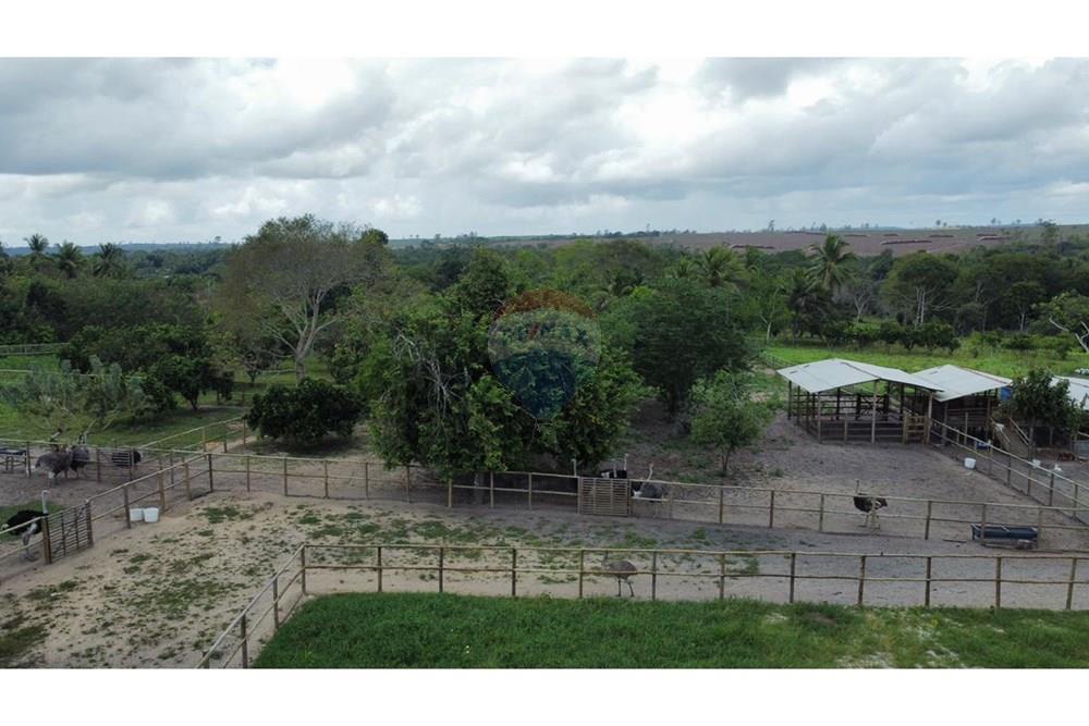 Chácara / Sítio / Fazenda - Venda - Alagoinhas , Bahia - WhatsApp Image 2025-10-16 at 11.18.28.jpeg - 580701011-7