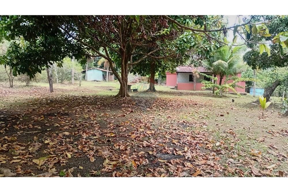 Chácara / Sítio / Fazenda - Alugar - Camaçari , Bahia - WhatsApp Image 2025-10-15 at 14.31.57.jpeg - 580331013-753