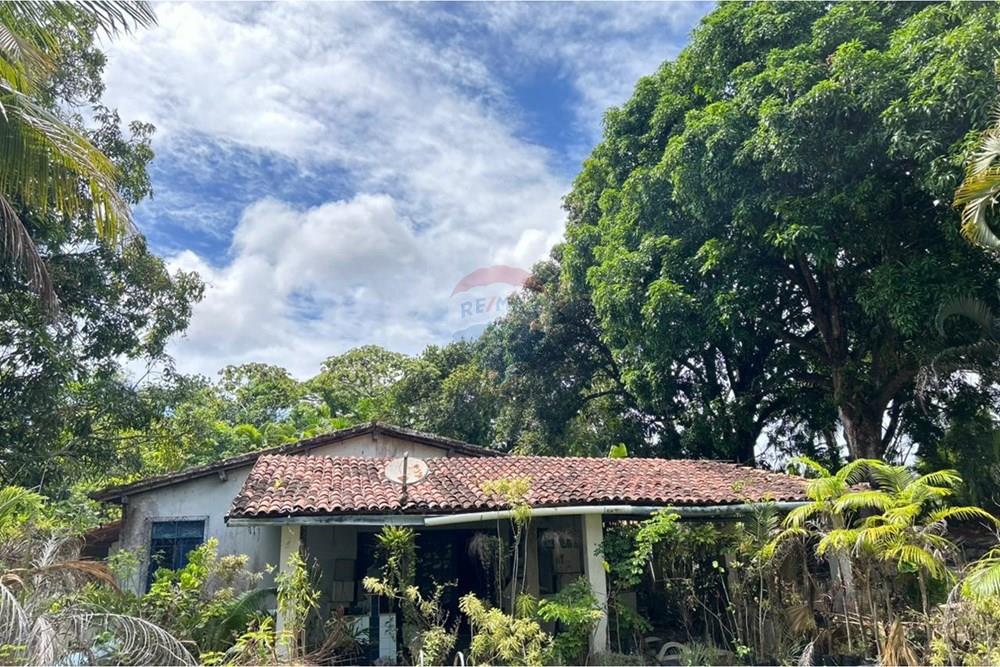 Chácara / Sítio / Fazenda - Venda - Salvador , Bahia - WhatsApp Image 2026-01-15 at 11.46.48 (1).jpeg - 580721041-2