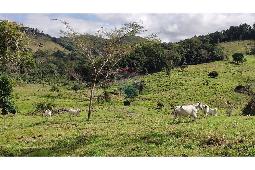 Chácara / Sítio / Fazenda - Venda - Jequié , Bahia - 35.jpg - 580731023-74