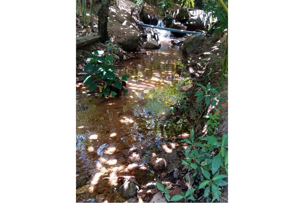 Chácara / Sítio / Fazenda - Venda - Jaguaquara , Bahia - 10.jpeg - 580731023-133