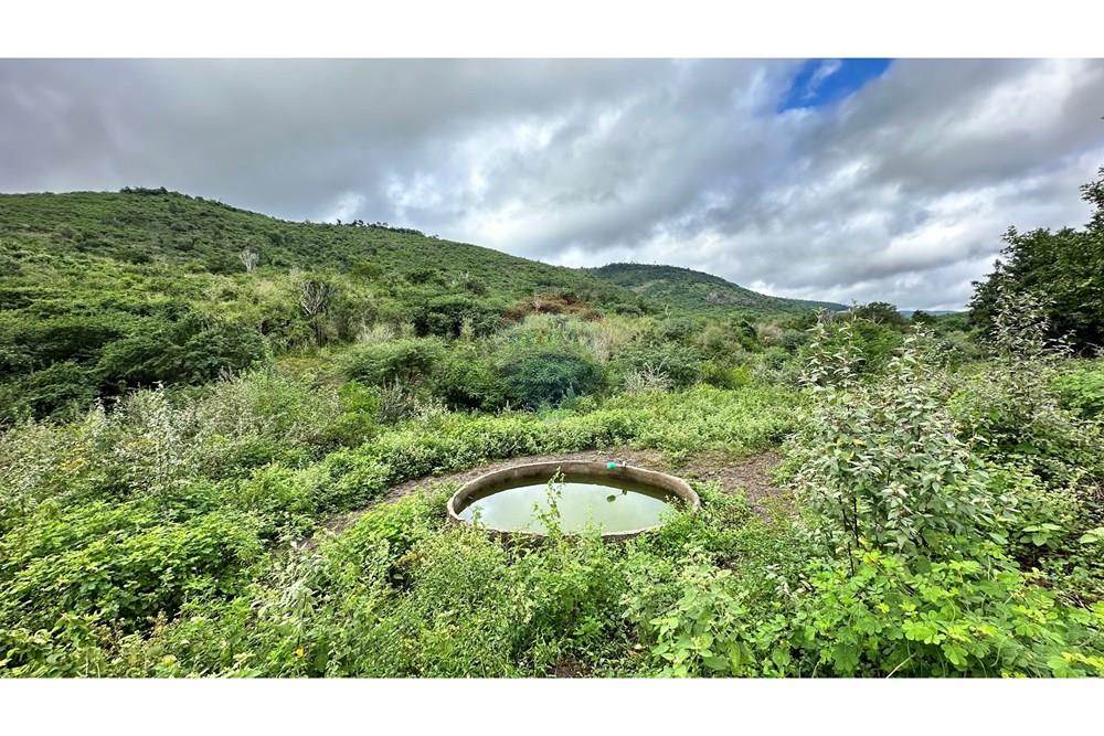 Chácara / Sítio / Fazenda - Venda - Jequié , Bahia - image00018.jpeg - 580731023-47