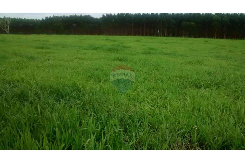 Chácara / Sítio / Fazenda - Venda - Teixeira de Freitas , Bahia - WhatsApp Image 2024-05-13 at 16.09.15.jpeg - 580411003-292