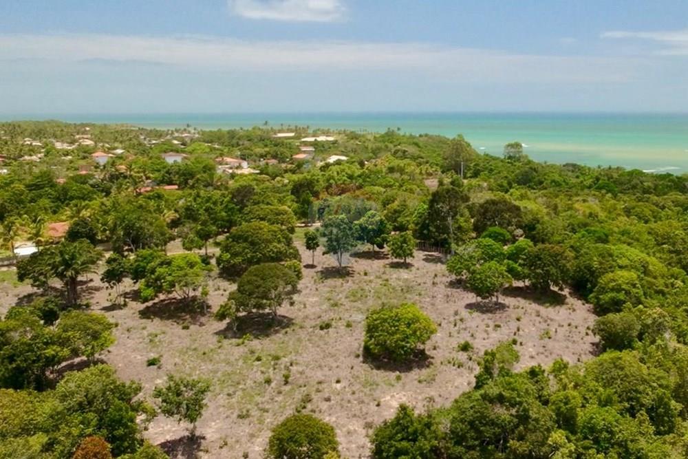 Terreno - Venda - Trancoso , Bahia - WhatsApp Image 2026-01-14 at 08.41.57.jpeg - 580581012-109