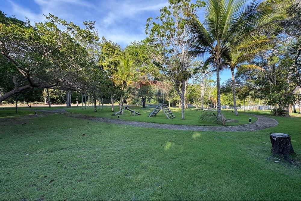 Terreno - Venda - Porto Seguro , Bahia - 2ebd1e07-0137-4846-af7c-cf980c84432f_1.jpeg - 580581002-141