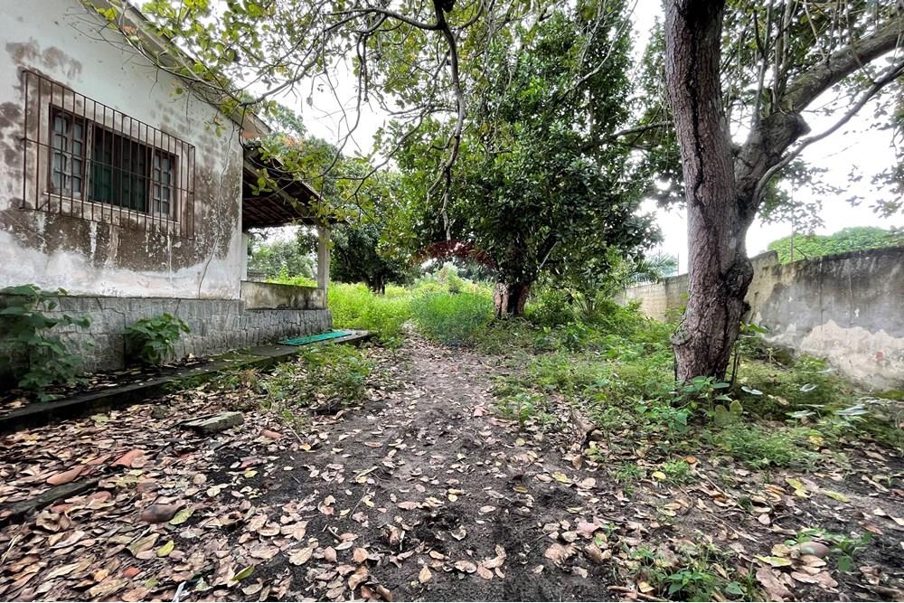 Terreno - Venda - Alagoinhas , Bahia - IMG_8947.jpeg - 580701044-52