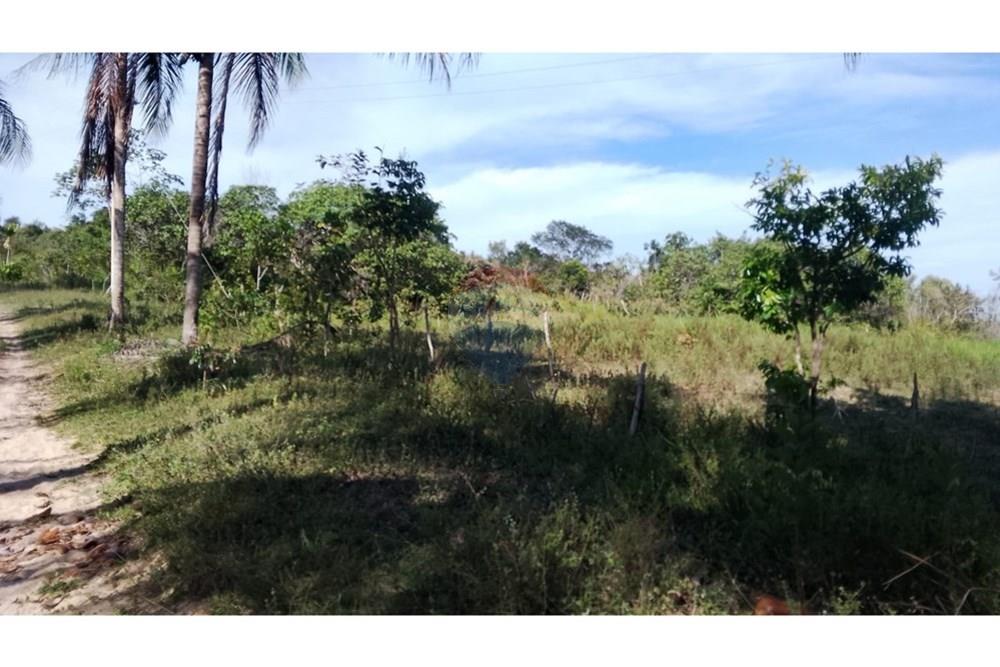 Chácara / Sítio / Fazenda - Venda - Alagoinhas , Bahia - WhatsApp Image 2025-11-09 at 19.23.30 (2).jpeg - 580701044-55