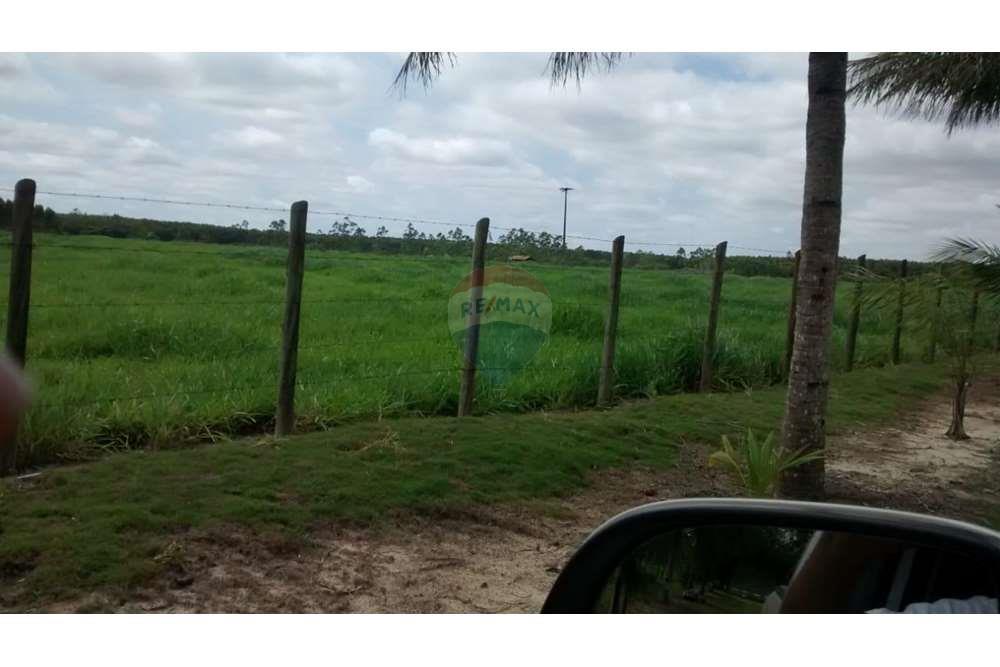 Chácara / Sítio / Fazenda - Venda - Teixeira de Freitas , Bahia - WhatsApp Image 2024-05-13 at 16.09.15 (1).jpeg - 580411003-292