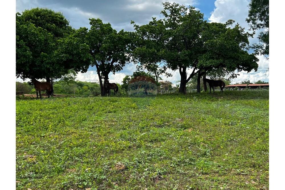 Fazenda - Venda - Aroazes , Piauí - Imagem do WhatsApp de 2025-09-30 à(s) 12.20.03_98c7a31f.jpg - 580791016-19