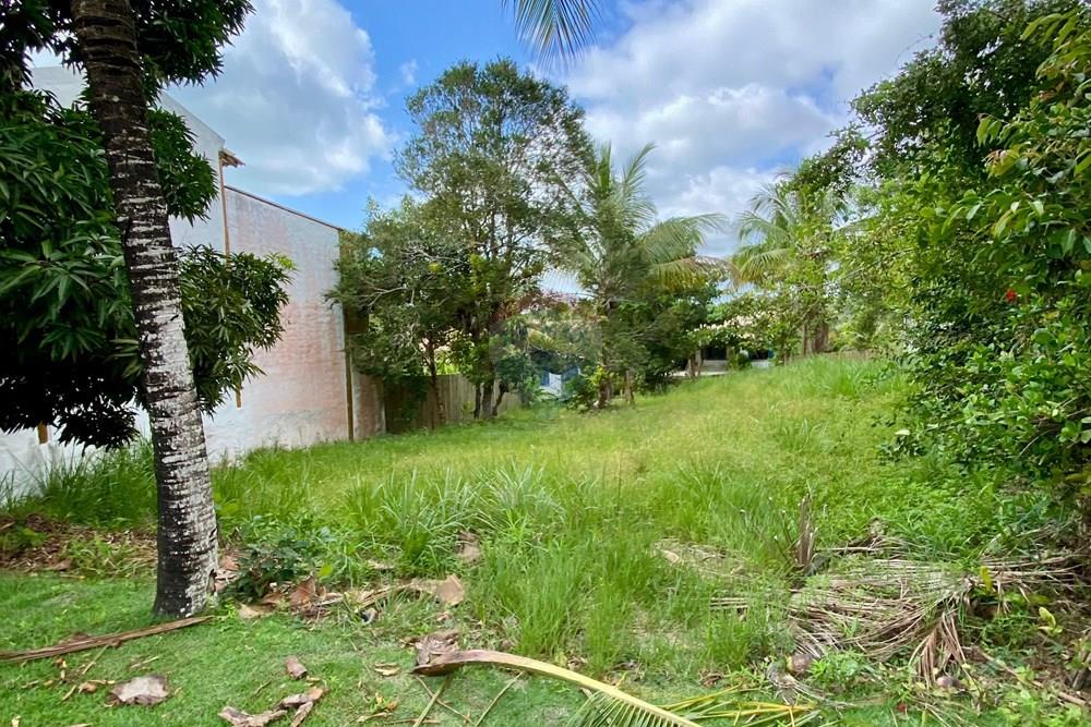 Terreno - Venda - Trancoso , Bahia - WhatsApp Image 2026-01-14 at 10.23.59 (3).jpeg - 580581012-110