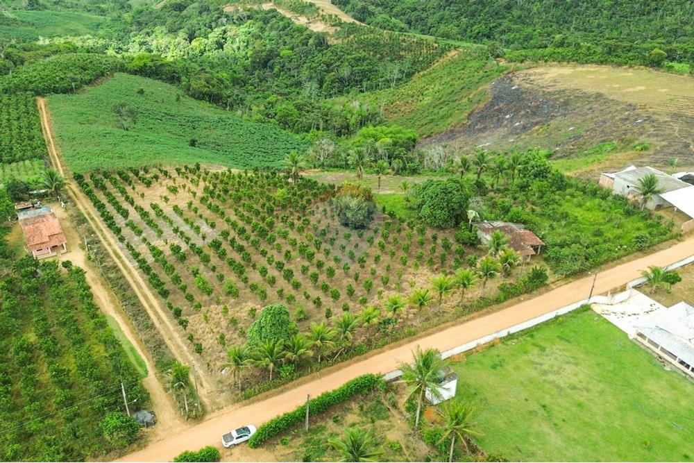 Chácara / Sítio / Fazenda - Venda - Santo Antônio de Jesus , Bahia - DJI_0659.jpg - 580341015-102