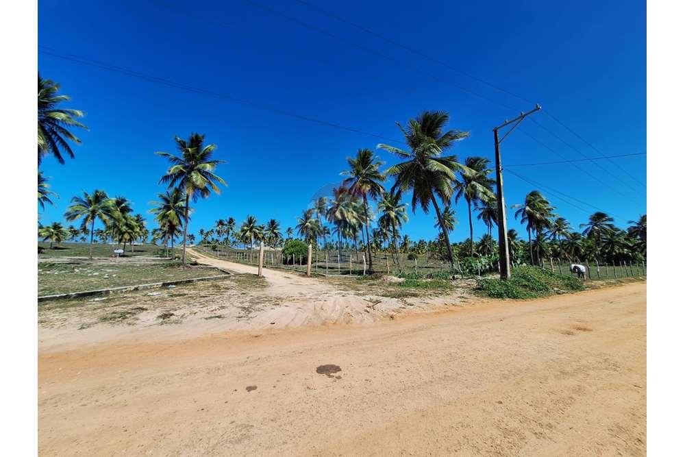 Terreno - Venda - Conde , Bahia - e467771d-e353-44fd-91c1-a6355577e1c9.jpg - 580691012-123