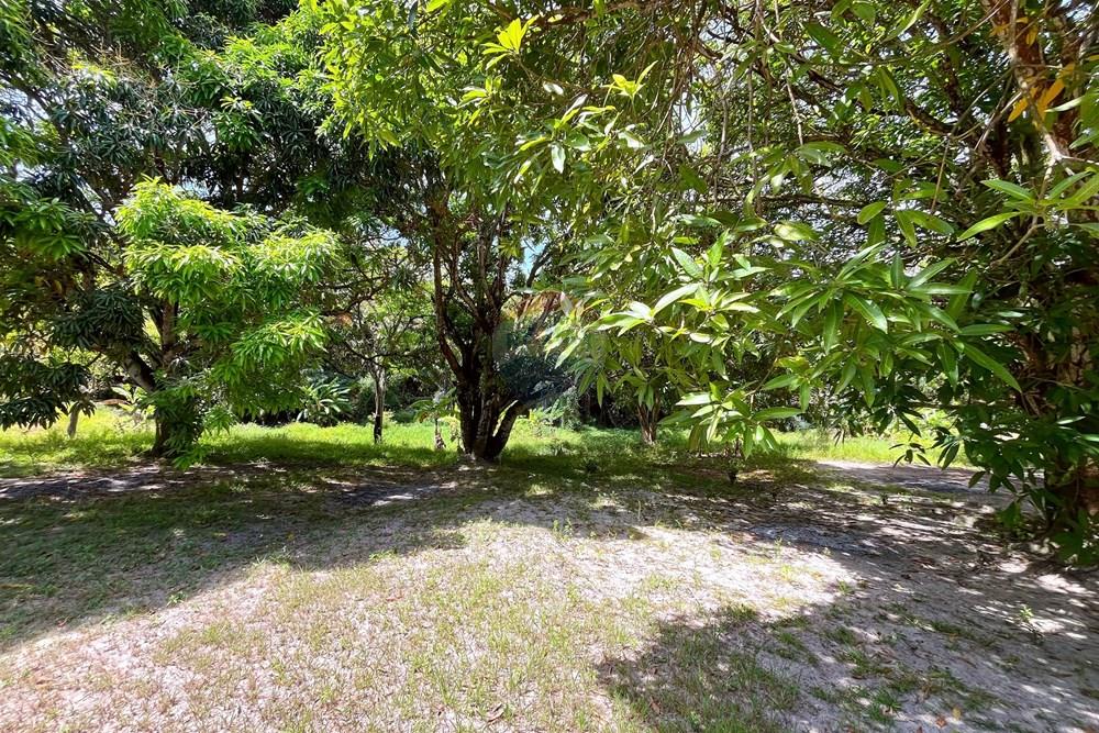 Terreno - Venda - Camaçari , Bahia - IMG_4613 (1).jpg - 580491001-74