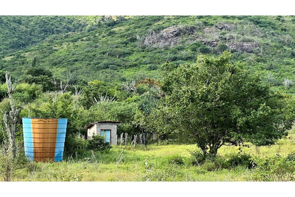 Chácara / Sítio / Fazenda - Venda - Jequié , Bahia - image00023.jpeg - 580731023-47
