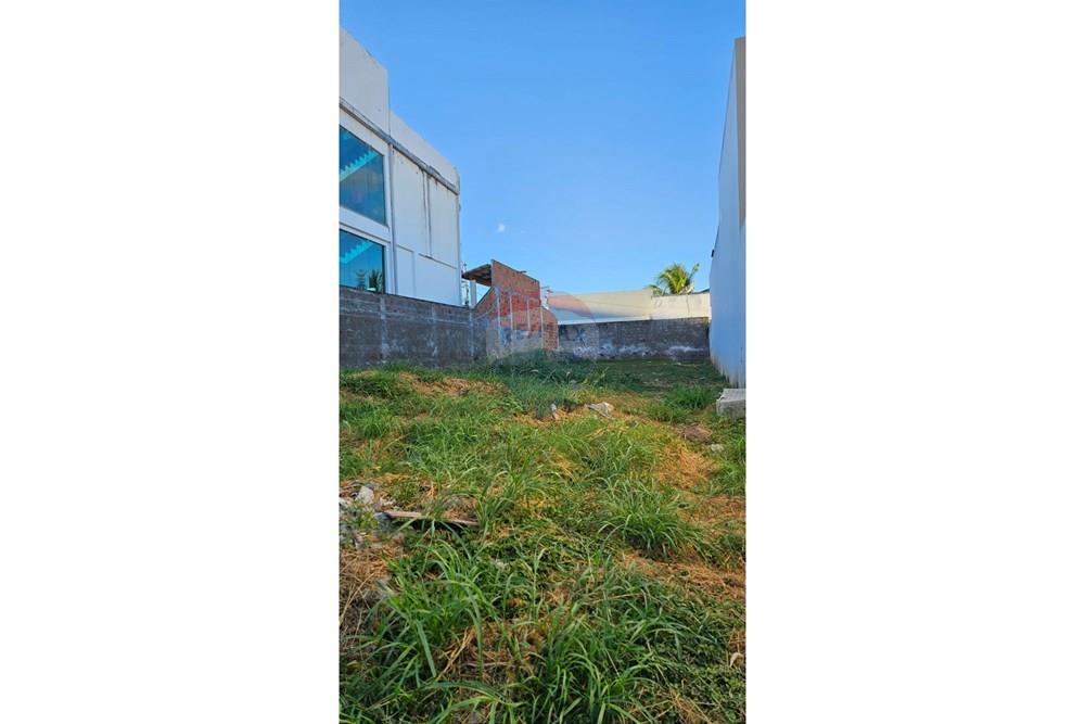 Terreno - Venda - Jequié , Bahia - IMG-20250330-WA0368.jpg - 580731025-6