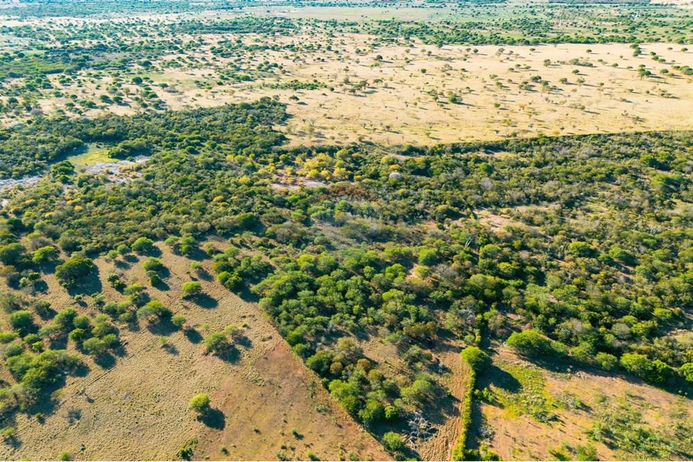 Terreno - Venda - Irecê , Bahia - SAVE_20250606_120832.jpg - 580841019-4