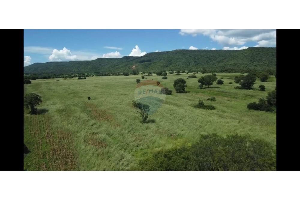 Fazenda - Venda - Wanderley , Bahia - WhatsApp Image 2026-03-24 at 17.30.01.jpeg - 580791016-28