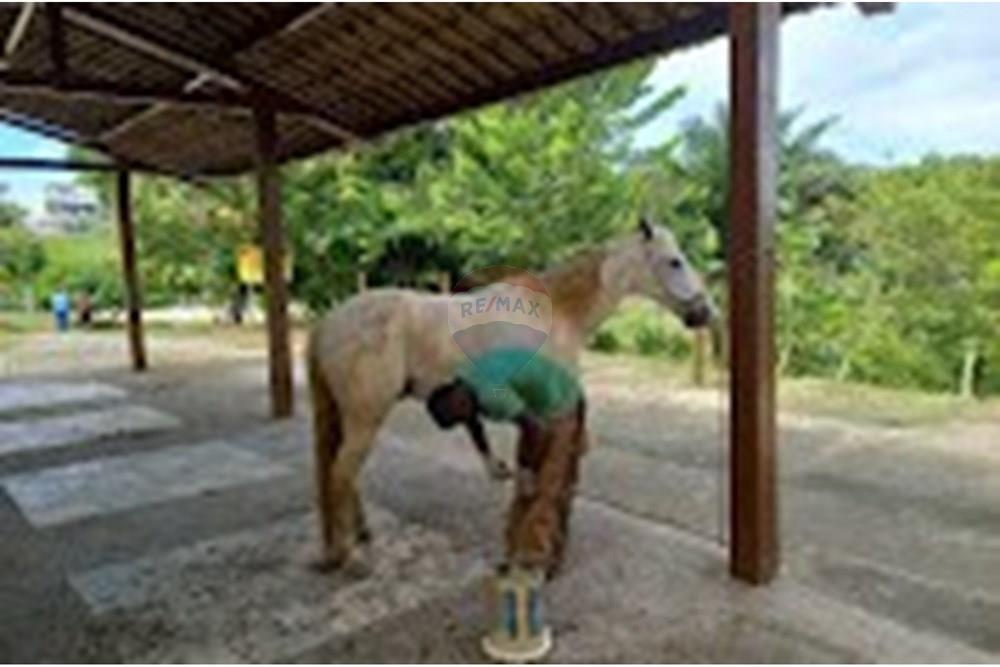 Terreno - Venda - Simões Filho , Bahia - IMG_8273.JPG - 580721048-4