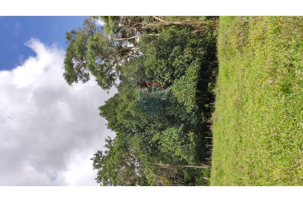 Chácara / Sítio / Fazenda - Venda - Jequié , Bahia - 49.jpg - 580731023-74