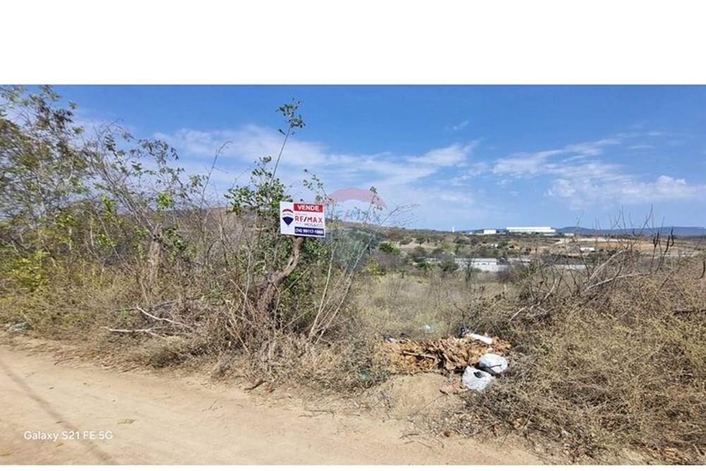 Terreno - Venda - Jacobina , Bahia - WhatsApp Image 2025-12-29 at 11.54.30.jpeg - 580851018-64