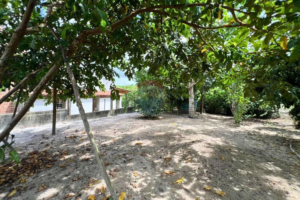 Chácara / Sítio / Fazenda - Venda - Alcobaça , Bahia - 19.jpg - 580631041-51