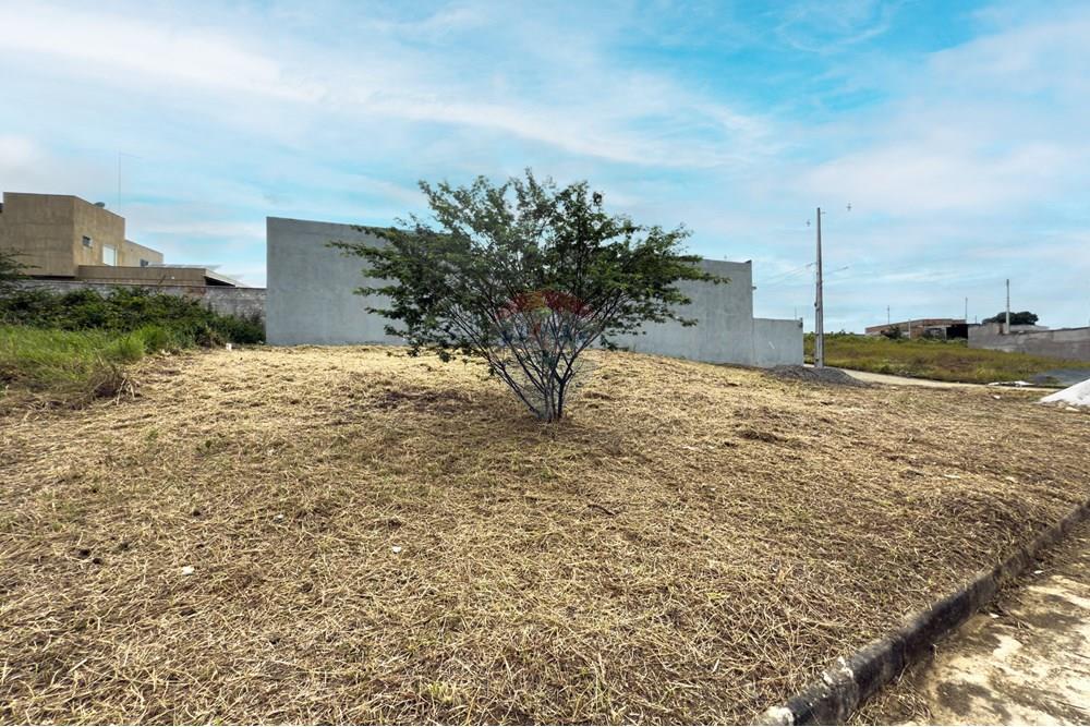 Terreno - Venda - Santo Antônio de Jesus , Bahia - IMG_8189.jpg - 580341036-84
