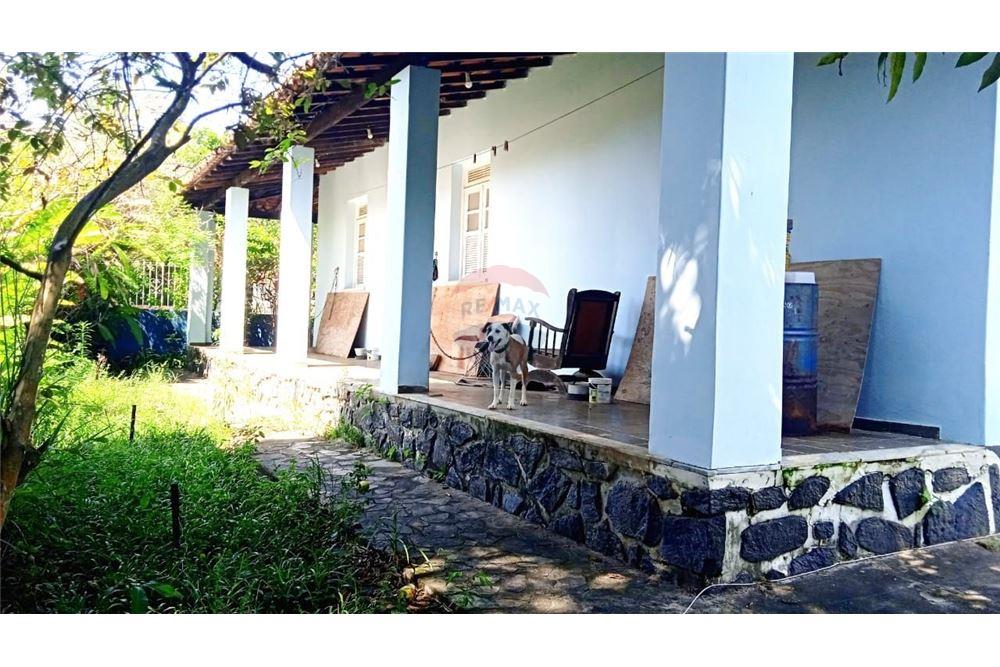 Casa - Amoreira