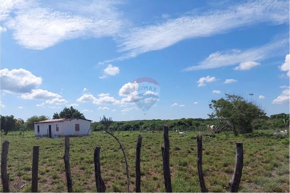 Chácara / Sítio / Fazenda - Venda - Ibotirama , Bahia - 7be85c07-c70d-40da-ac64-be806c08916e.jpg - 580831002-154