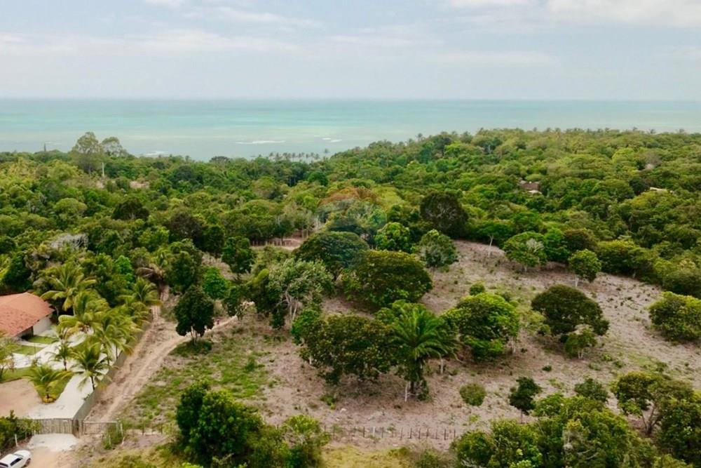 Terreno - Venda - Trancoso , Bahia - WhatsApp Image 2026-01-14 at 08.41.58 (4).jpeg - 580581012-109