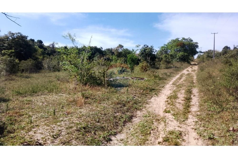 Chácara / Sítio / Fazenda - Venda - Alagoinhas , Bahia - WhatsApp Image 2025-11-09 at 19.23.30 (1).jpeg - 580701044-55