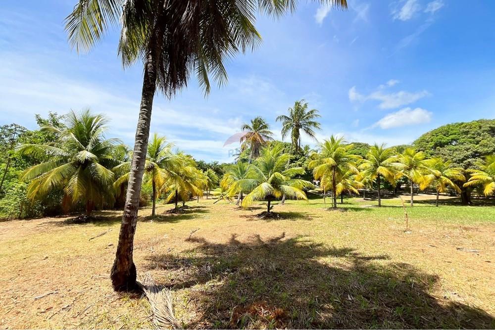 Terreno - Venda - Camaçari , Bahia - IMG_4762.jpg - 580491001-74