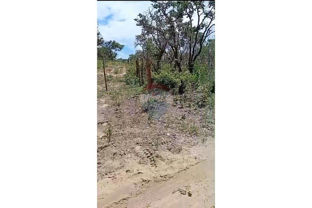 Fazenda - Venda - São Desidério , Bahia - WhatsApp Image 2026-01-26 at 21.39.17.jpeg - 580861009-34