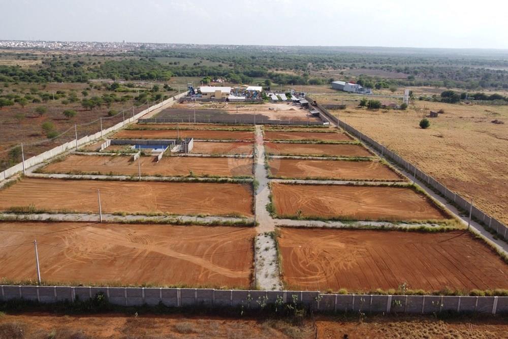 Terreno - Venda - Irecê , Bahia - DJI_0788_resized.jpg - 580841005-51