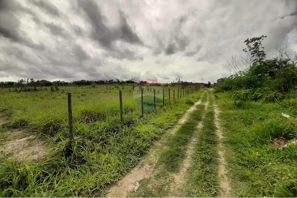 Terreno - Venda - Aramari , Bahia - WhatsApp Image 2025-06-27 at 16.57.29.jpeg - 580701044-26