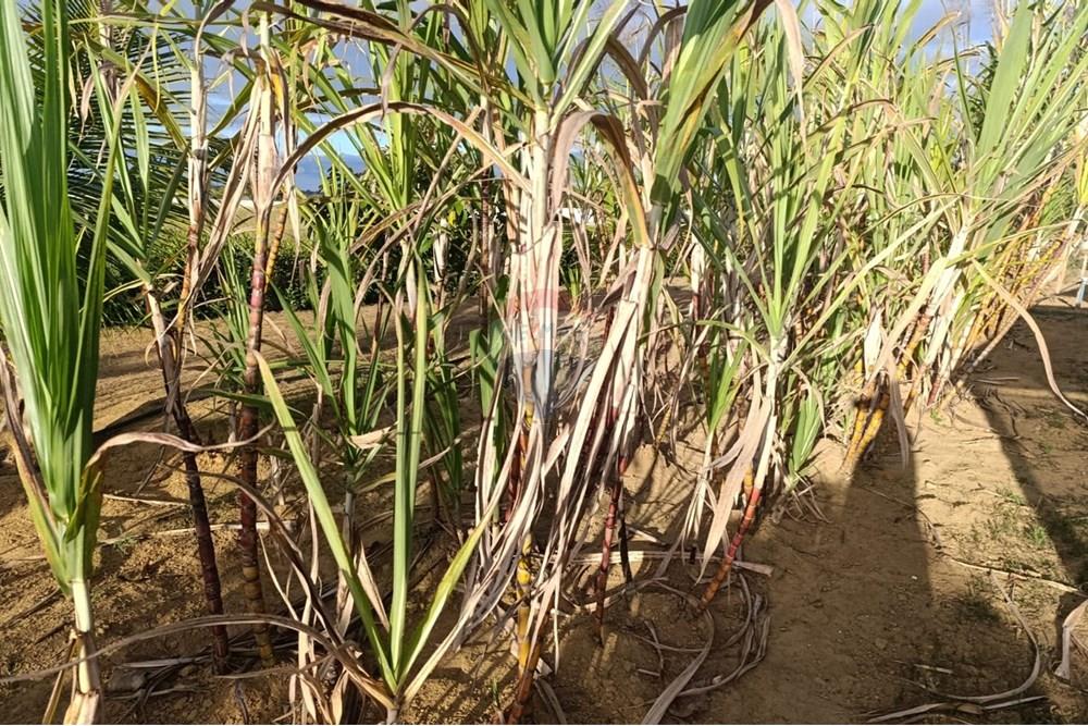 Studio - Venda - Vitória da Conquista , Bahia - F16.jpg - 580831019-6