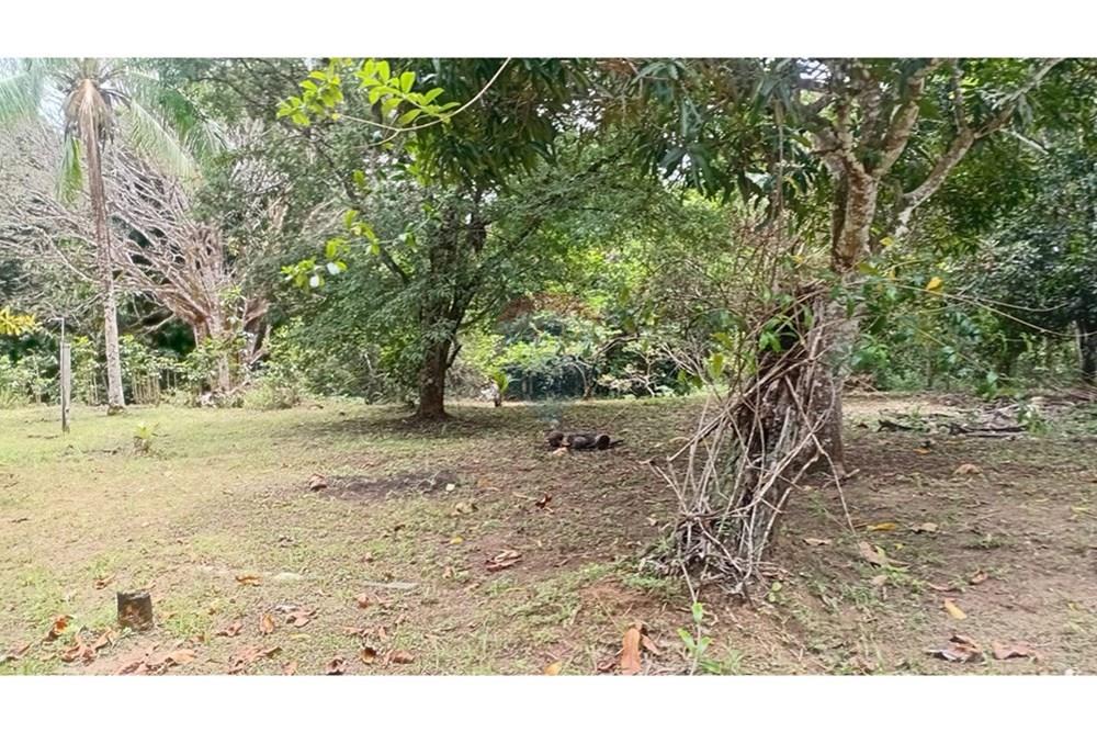 Chácara / Sítio / Fazenda - Alugar - Camaçari , Bahia - WhatsApp Image 2025-10-15 at 14.32.01 (2).jpeg - 580331013-753