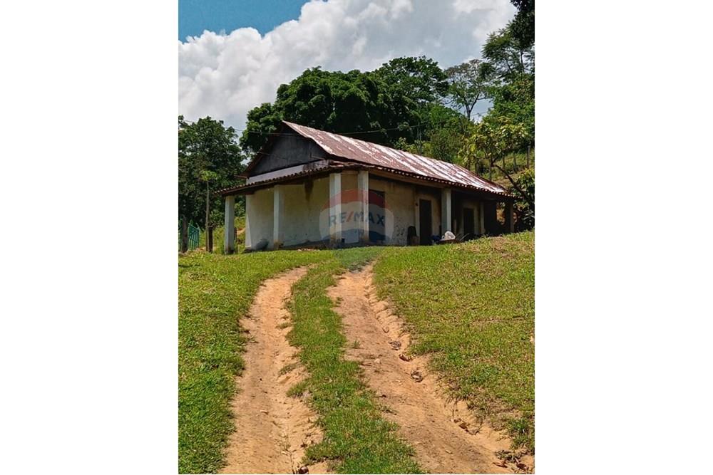 Chácara / Sítio / Fazenda - Venda - Jaguaquara , Bahia - 07.jpeg - 580731023-133